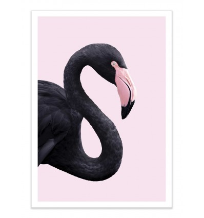 Art-Poster - Black Flamingo - Paul Fuentes