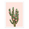 Art-Poster - Cactus and Roses - Paul Fuentes