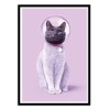 Art-Poster - Space cat - Paul Fuentes