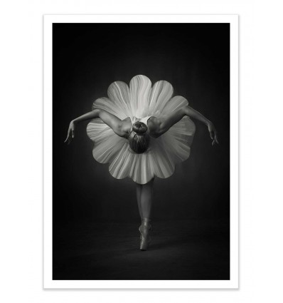 Art-Poster - Floral Ballet - Catchlight Studio