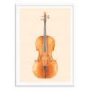 Cello - Florent Bodart