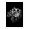 Art-Poster - Lion and lioness portrait - Laurent Lothare Dambreville