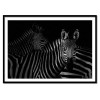 Art-Poster - Zebras family