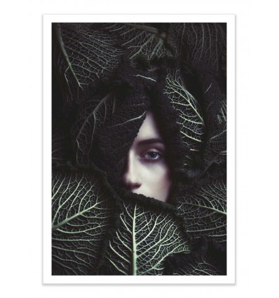 Art-Poster - Cabbage - Magdalena Russocka