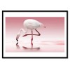 Art-Poster - Flamingo - Doris Reindl