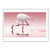 Art-Poster - Flamingo - Doris Reindl