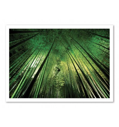 Art-Poster - Bamboo night - Takeshi Marumoto