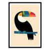 Rainbow Toucan - Andy Westface