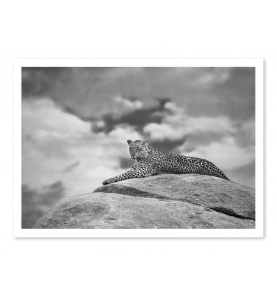 Art-Poster - Leopard on a Kopje - Mario Moreno