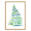 Art-Poster - Palm Leaf - Cat Coquillette - Cadre bois chêne