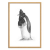 Art-Poster - South Pole essentials - Terry Fan - Cadre bois chêne