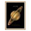 Art-Poster - Saturn - Terry Fan - Cadre bois chêne