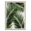 Art-Poster - Palm Leaf Part 2 - Orara Studio
