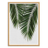 Art-Poster - Palm Leaf Part 3 - Orara Studio - Cadre bois chêne