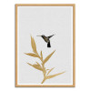 Art-Poster - Hummingbird and flower - Orara Studio - Cadre bois chêne