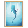 Art-Poster - Whale Shark - Henry Rivers - Cadre bois chêne