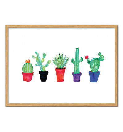 Art-Poster - Pot of cacti - Amaya Brydon - Cadre bois chêne