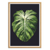 Art-Poster - One leaf - Cascadia