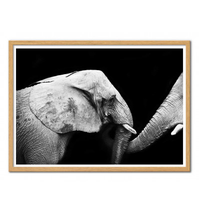 Art-Poster - Elephant Black and White - Julia Bénard - Cadre bois chêne
