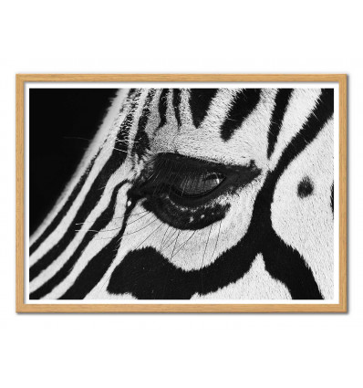 Art-Poster - Zebra eye - Julia Bénard