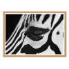 Art-Poster - Zebra eye - Julia Bénard - Cadre bois chêne