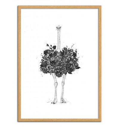 Art-Poster - Floral ostrich - Balazs Solti - Cadre bois chêne