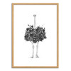 Art-Poster - Floral ostrich - Balazs Solti - Cadre bois chêne