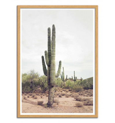 Art-Poster - Desert cactus - Sisi and Seb - Cadre bois chêne
