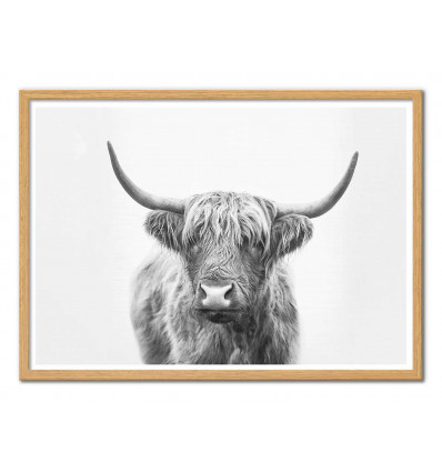Art-Poster - Highland Bull - Sisi and Seb - Cadre bois chêne