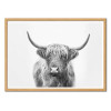 Art-Poster - Highland Bull - Sisi and Seb - Cadre bois chêne