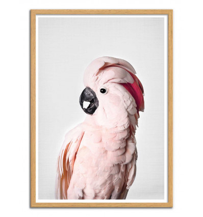 Art-Poster - Pink cockatoo - Sisi and Seb - Cadre bois chêne