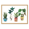 Art-Poster - Plants - Ploypisut