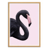Art-Poster - Black Flamingo - Paul Fuentes - Cadre bois chêne