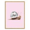 Art-Poster - Disco Snail - Paul Fuentes - Cadre bois chêne