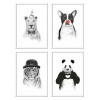 4 Art-Posters 20 x 30 cm - Funny Animals - Balazs Solti