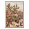 Art-Poster - Plantes tropicales - Astër - Cadre bois chêne