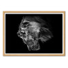 Art-Poster - Lion and lioness portrait - Laurent Lothare Dambreville - Cadre bois chêne