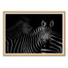 Art-Poster - Zebras family - Cadre bois chêne
