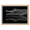 Art-Poster - Aligator - Cadre bois chêne