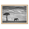 Art-Poster - Elephant Landscape - Mario Moreno - Cadre bois chêne