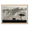 Art-Poster - Silhouette of an elephant - Cadre bois chêne