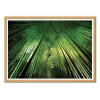 Art-Poster - Bamboo night - Takeshi Marumoto - Cadre bois chêne