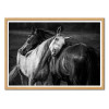 Art-Poster - Warm rain horses - Niko Chapa - Cadre bois chêne