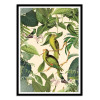 Art-Poster - Jungle Parakeet - Andrea Haase