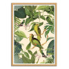 Art-Poster - Jungle Parakeet - Andrea Haase