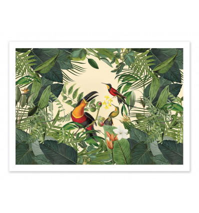Art-Poster - Tropical Jungle Toucan - Andrea Haase