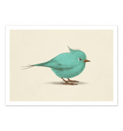 Art-Poster - Blue bird - Terry Fan