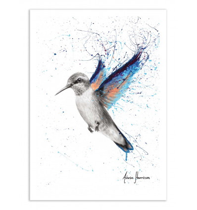 Art-Poster - Azul Hummingbird - Ashvin Harrison