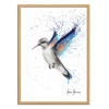 Art-Poster - Azul Hummingbird - Ashvin Harrison