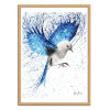 Art-Poster - Mediterranean wings - Ashvin Harrison